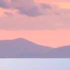 Test company nameTEST123 test